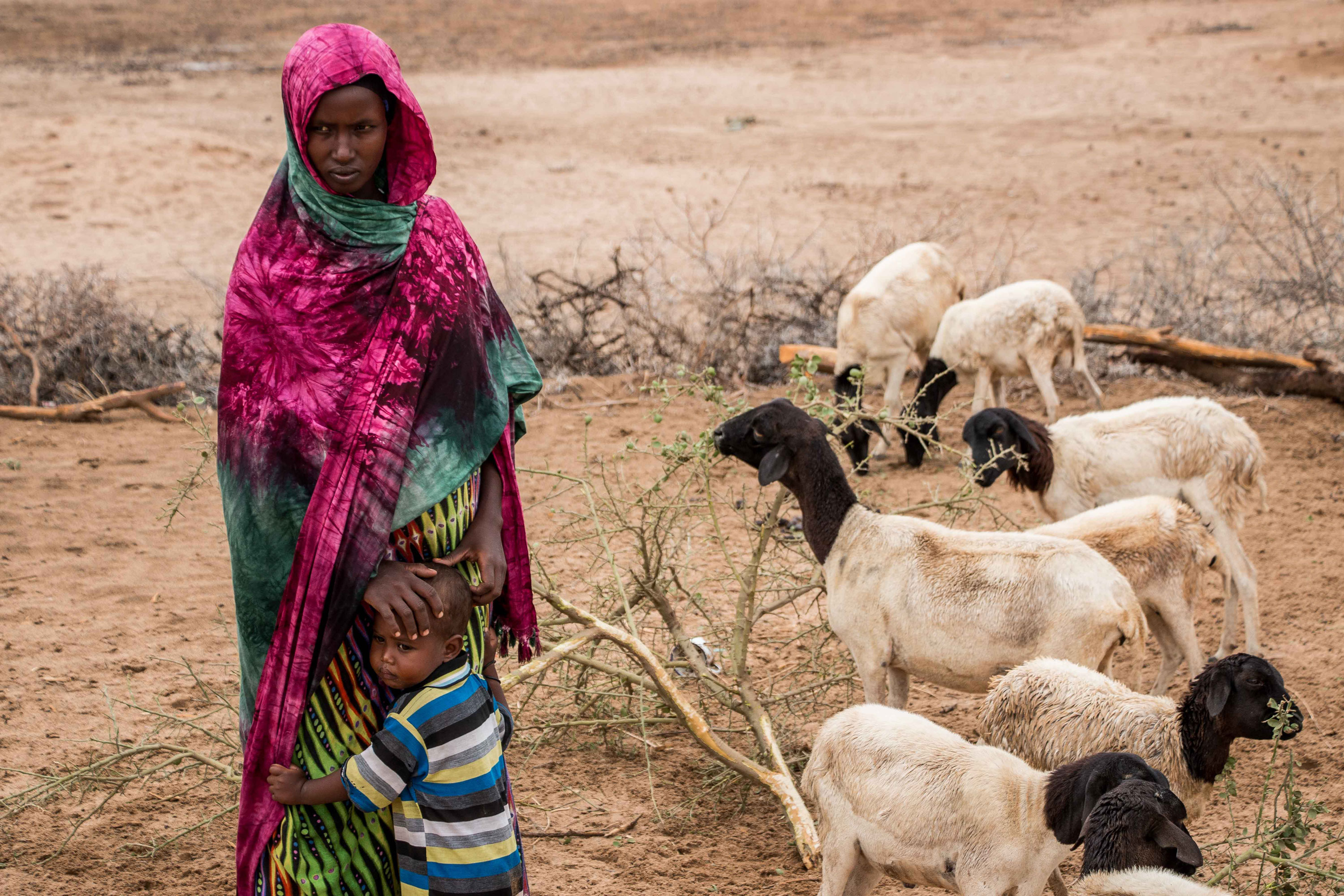 Please Do Not Use/ Somaliland