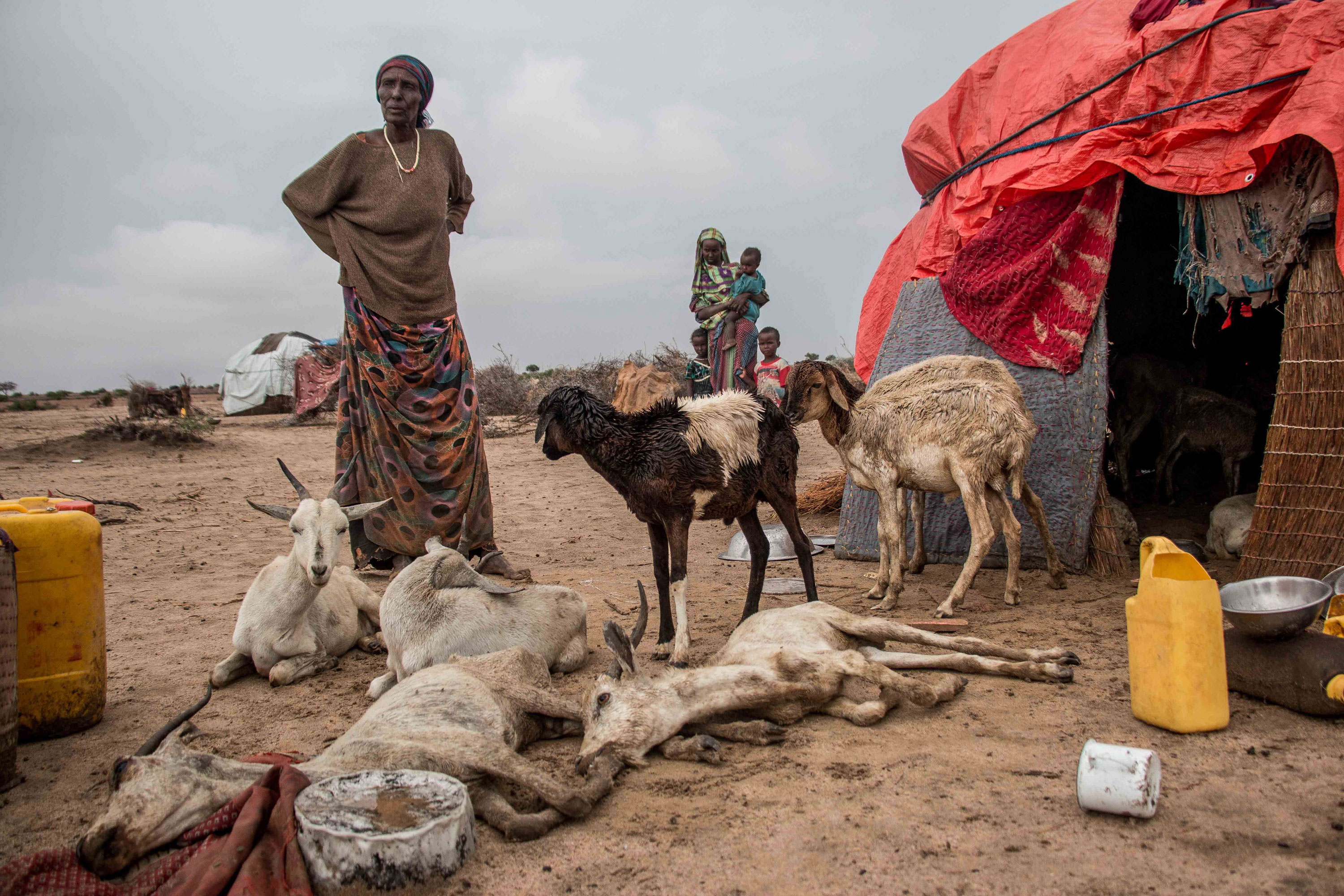 Please Do Not Use/ Somaliland