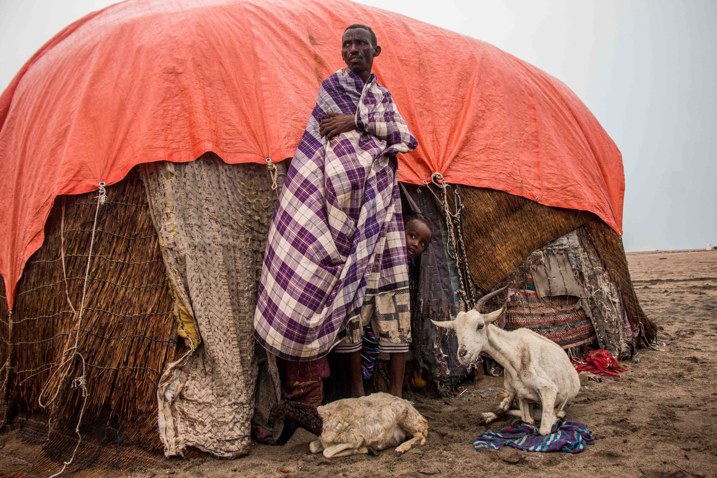 Please Do Not Use/ Somaliland