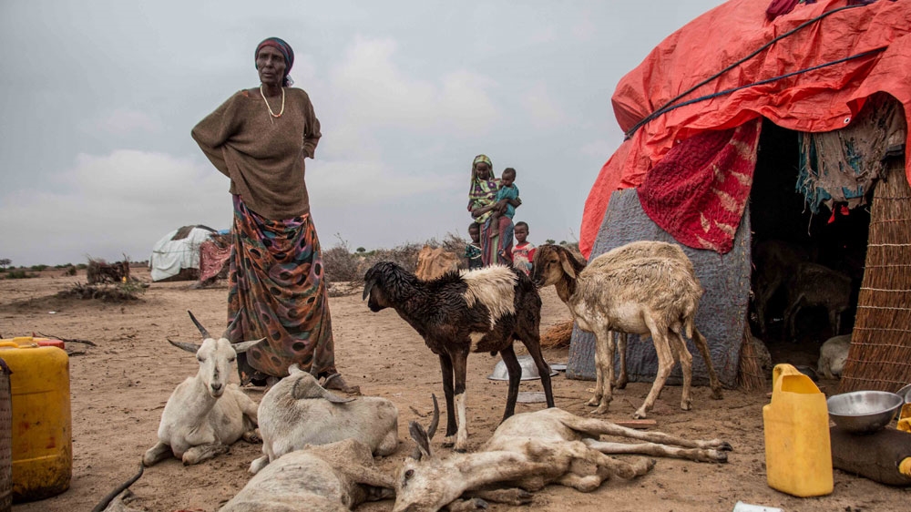 Please Do Not Use/ Somaliland [AShley Hamer/Al Jazeera]