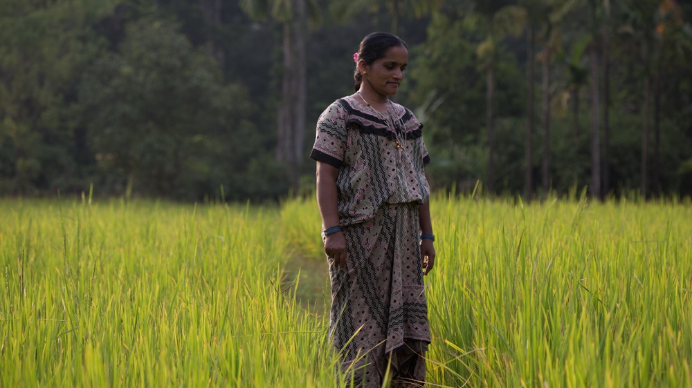 India Western Ghats [DO NOT USE]