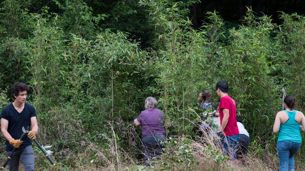 Volunteers join Cain for a day of 'wild gardening' in the Sequoya National Wildlife Refuge in northeast Oklahoma [Nicholas Linn/Al Jazeera]
