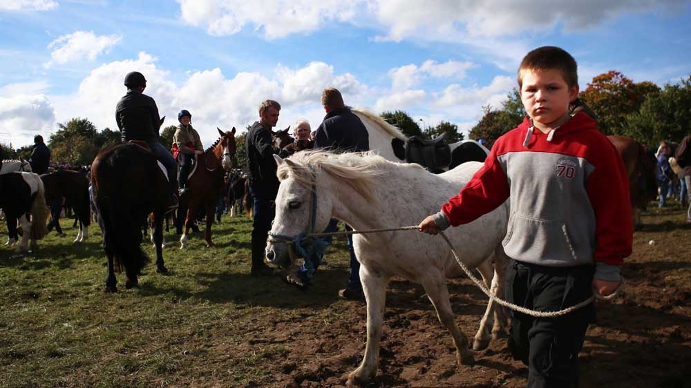 Horse Fair