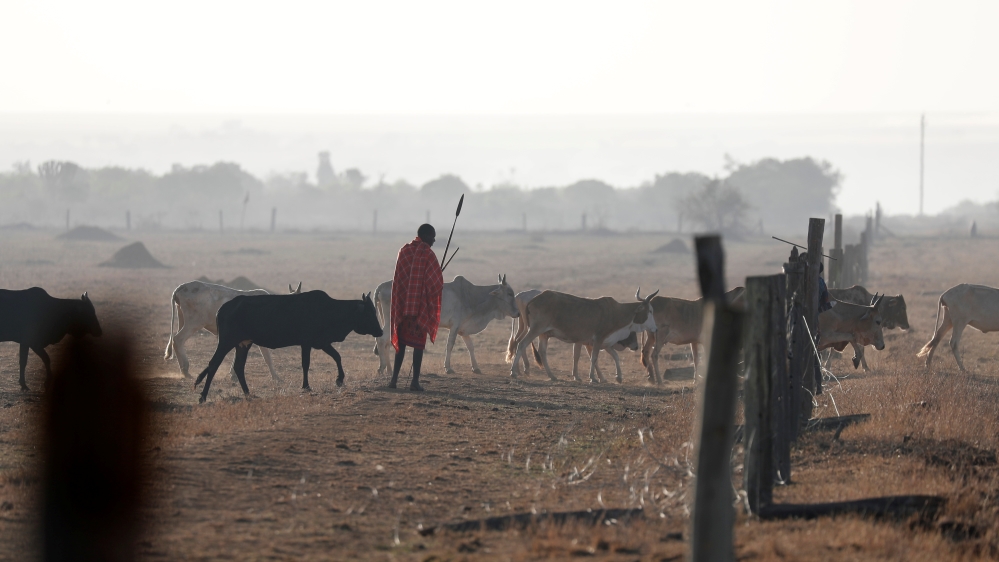 Kenya conservancy