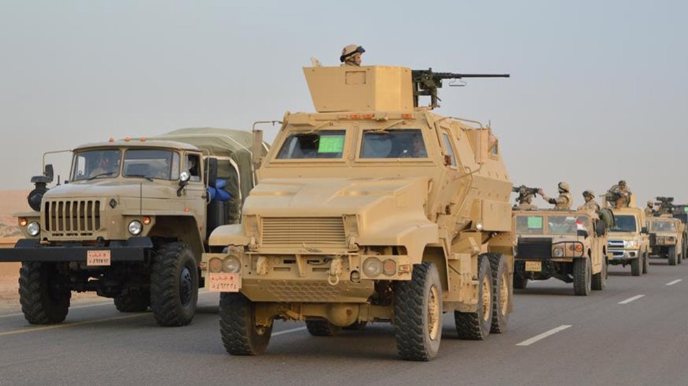 Sinai campaign