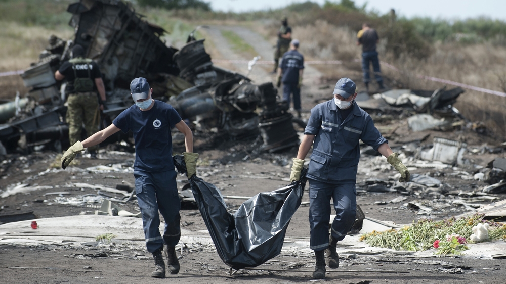 Malaysia Airlines Flight