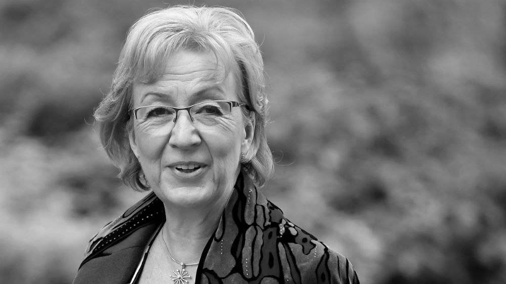 Andrea Leadsom has never been far from criticism during her government career