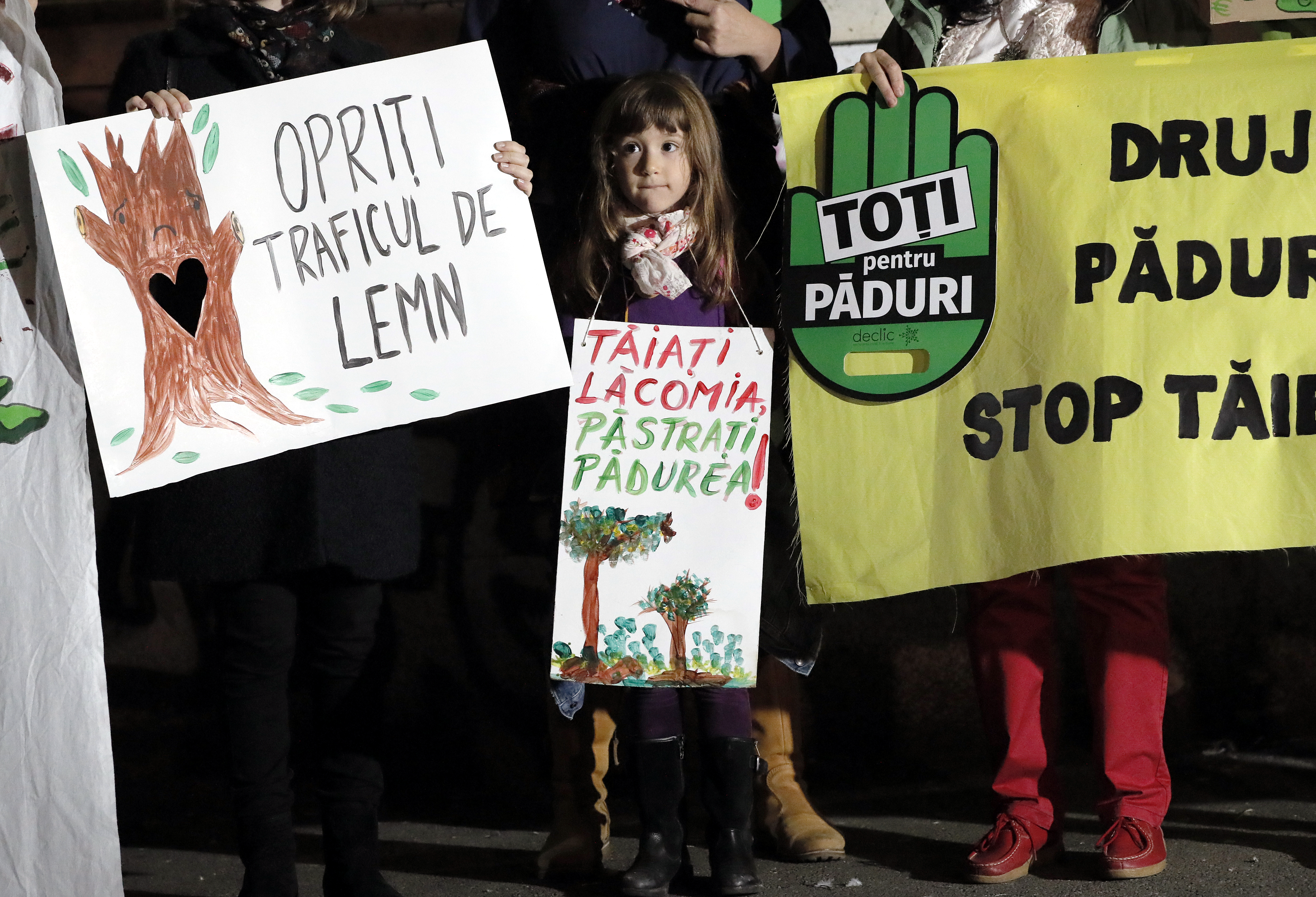 A Romanian girl stands between environmental activists marching against illegal and destructive deforestation in Bucharest on November 3, 2019. Her placards read: 'CUT THE GREED, KEEP THE FOREST!' [File: EPA/Robert Ghement]