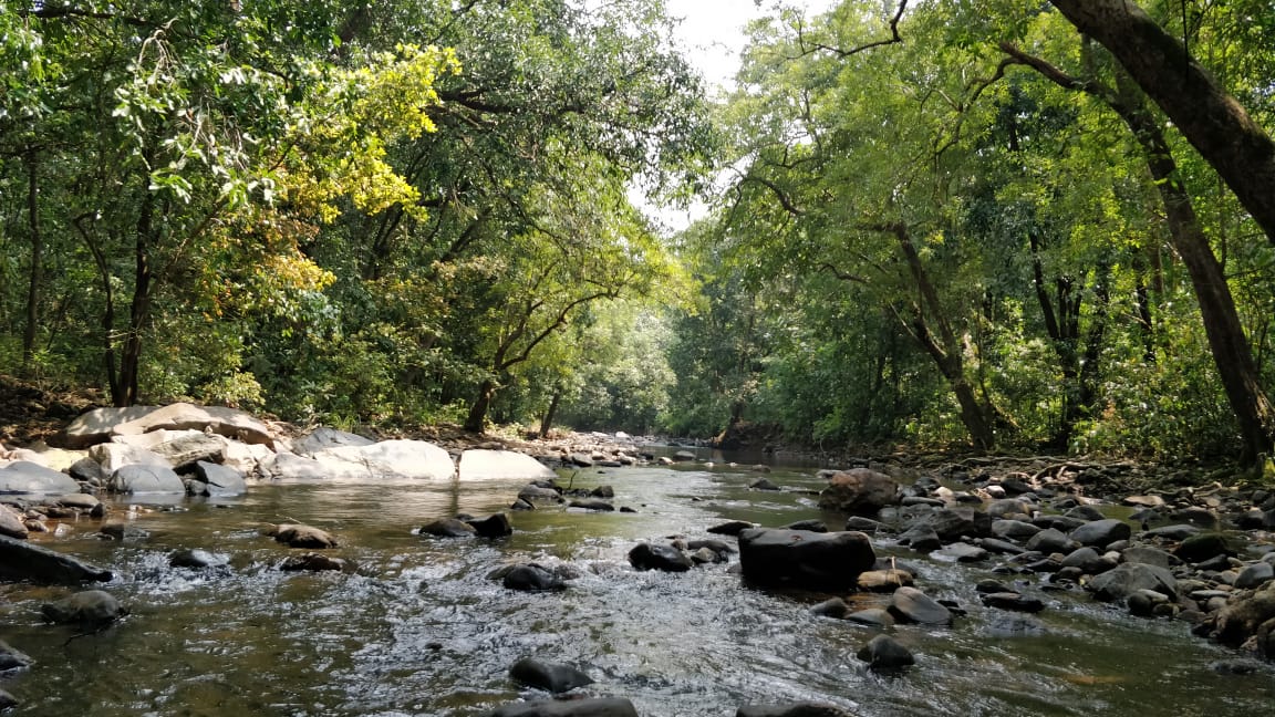 With lush forests and beaches, tourism is the primary source of Goa’s income