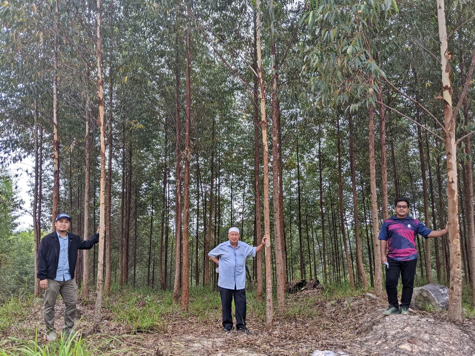 Abdul Khalim Abu Samah (centre), the director of the Kelantan state forestry department, and his staff at a visit to a eucalyptus forest plantation in Kelantan