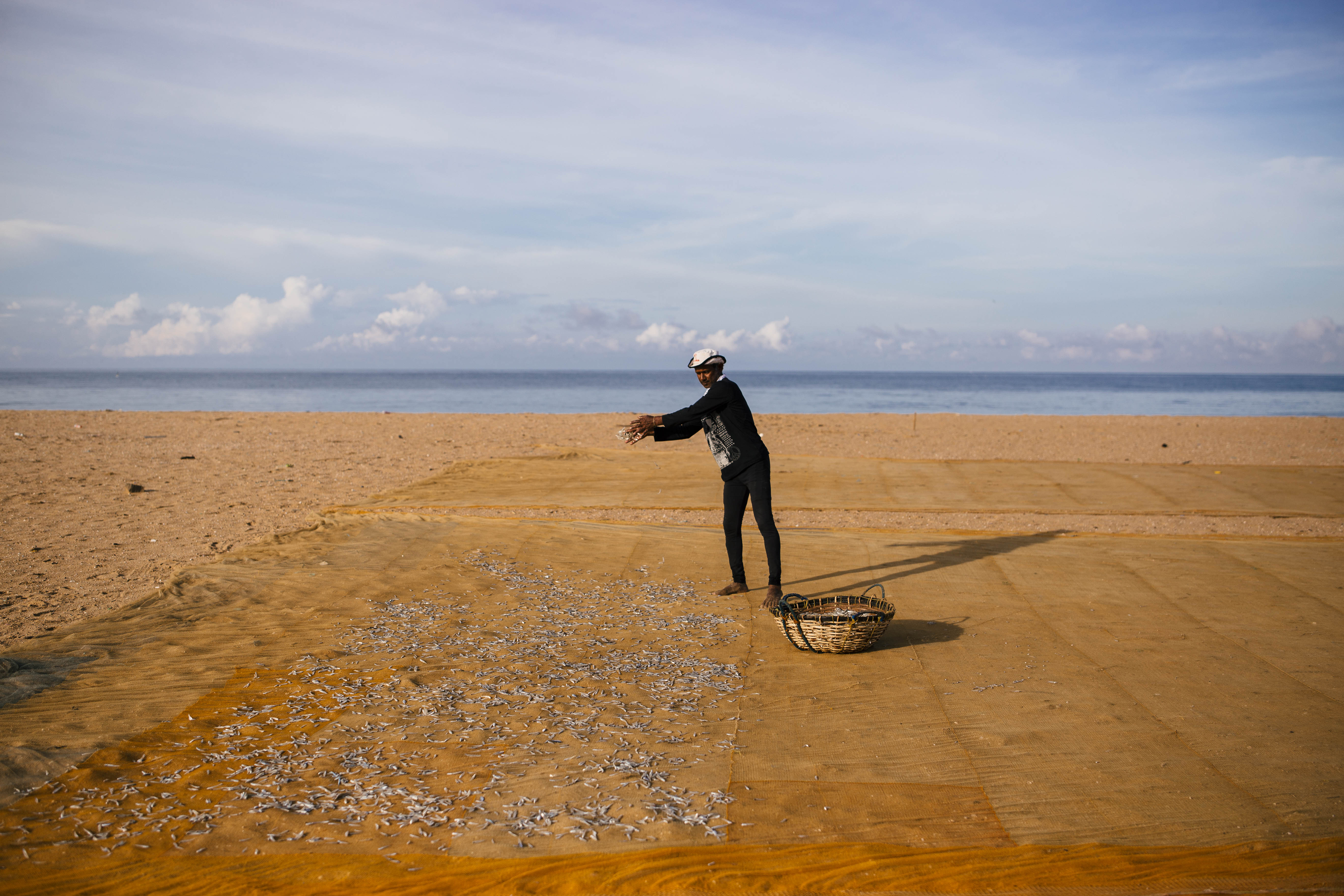 A man tossing out anchovies to dry in the hot sun by Kalpitiya Lagoon