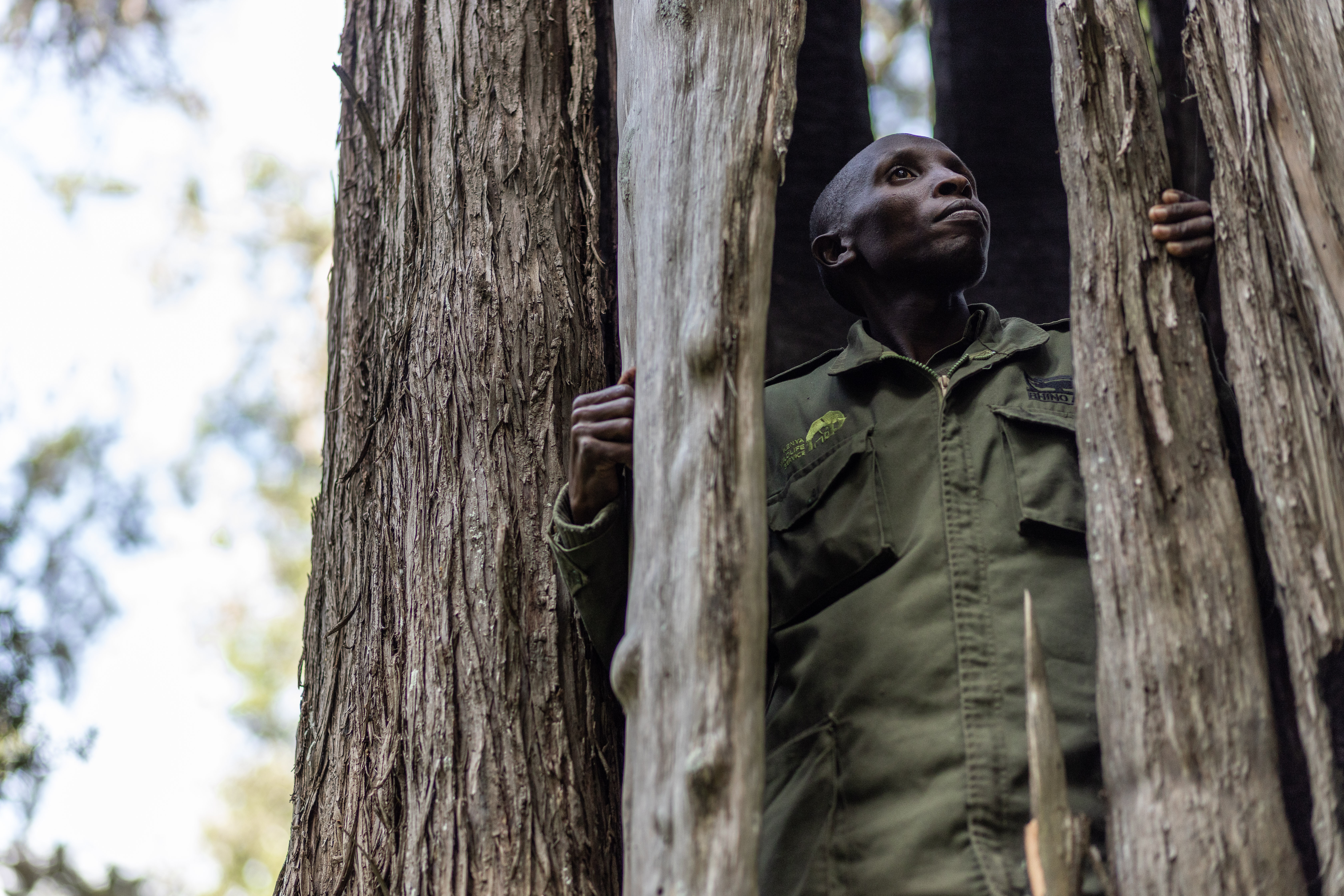Kenya rangers
