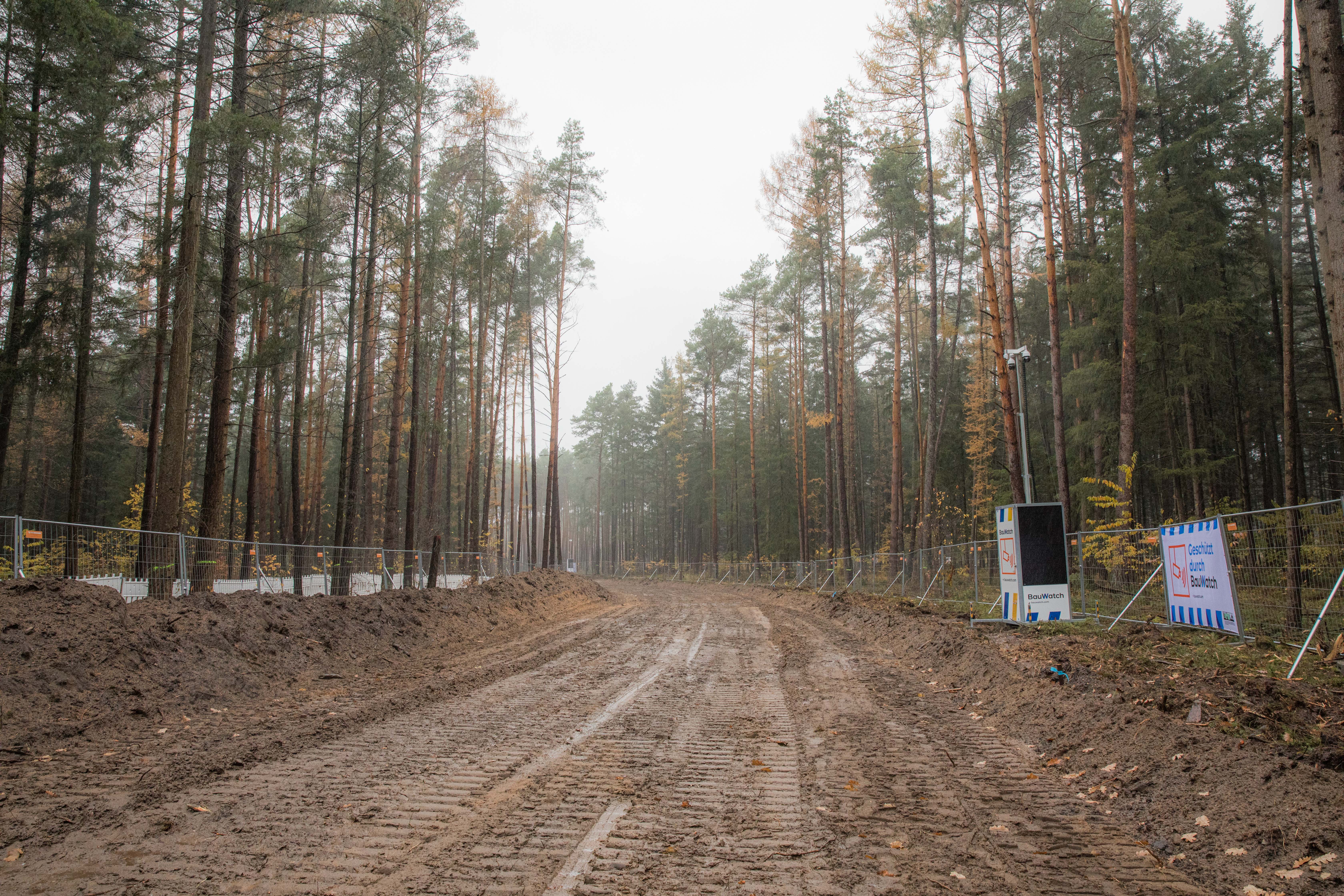 A forest area close to the protest camp and Tesla’s gigafactory has been cleared to facilitate the expansion of the US electric car manufacturer's facility here