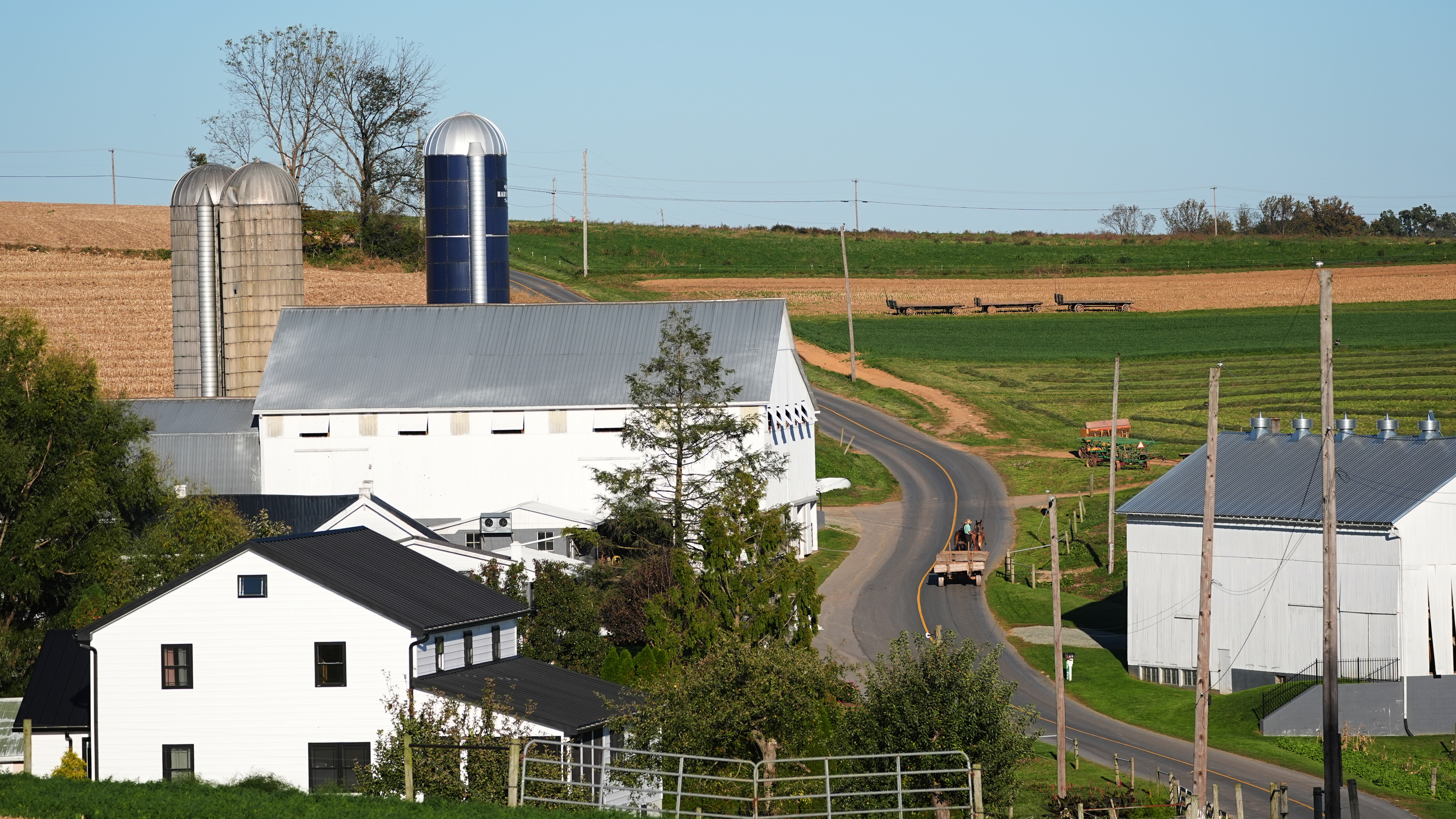 Horses pull a wagon past a Lancaster County farm in Christiana, Pa., Tuesday, Oct. 20, 2026. (AP Photo/Matt Rourke)