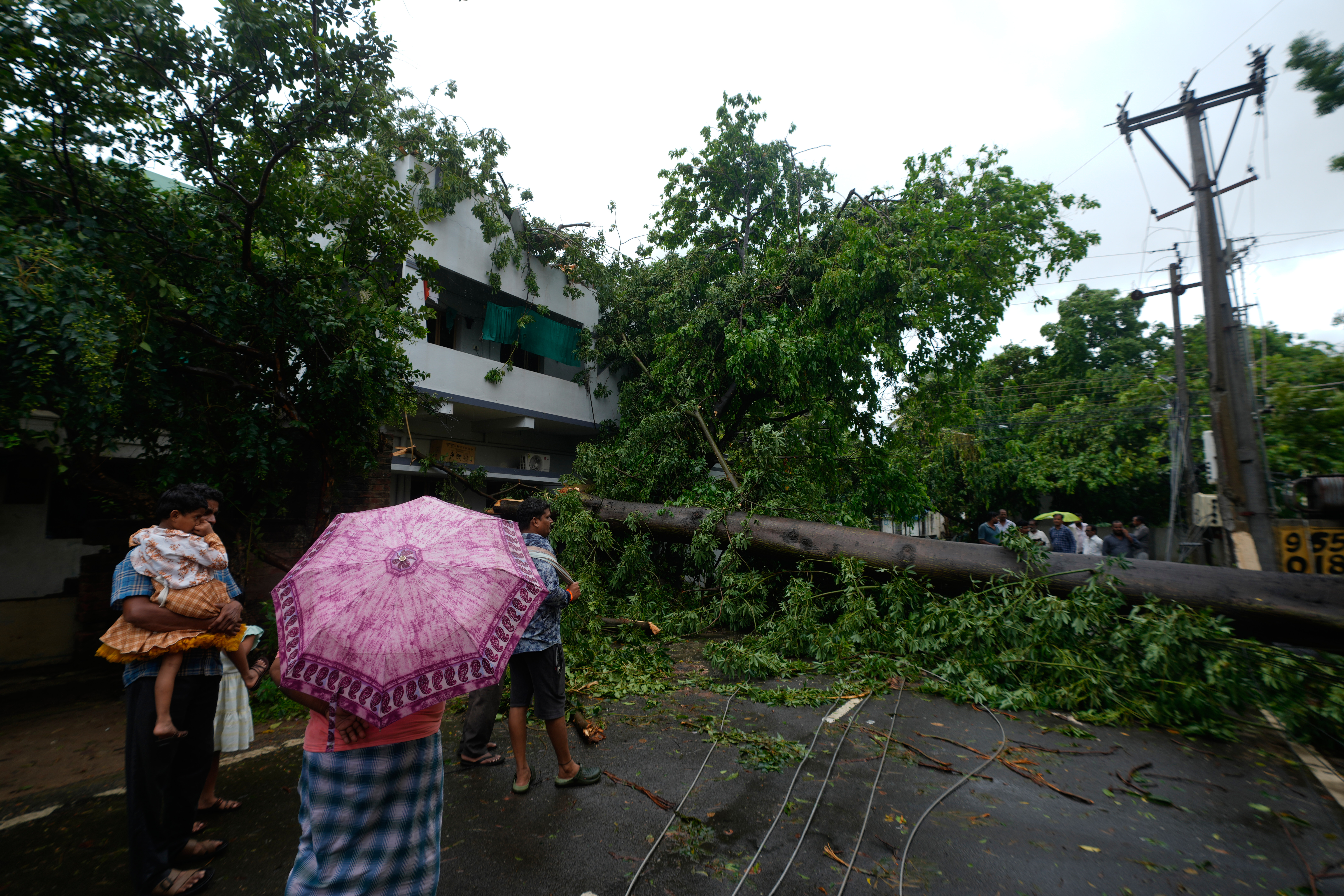 Aftermath of the deadly Cyclone Arnab in southern India